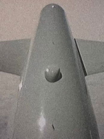 Poster do Filme Flutter