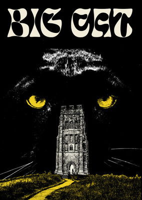 Poster do Filme Big Cat