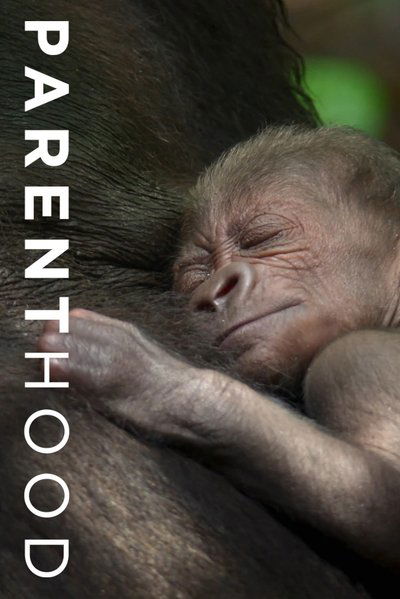 poster for Parenthood