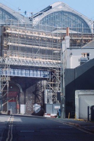 movie poster for A Spring in Endless Bloom