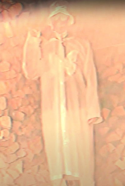 Poster do Filme Summer Killer