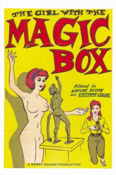 Poster do Filme The Girl with the Magic Box