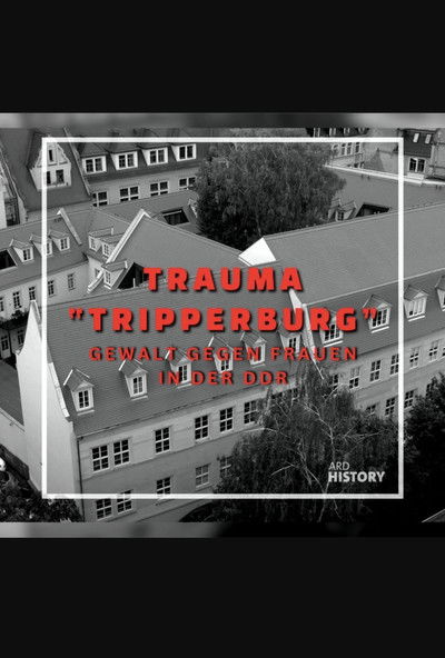 Poster do Filme Trauma "Tripperburg"