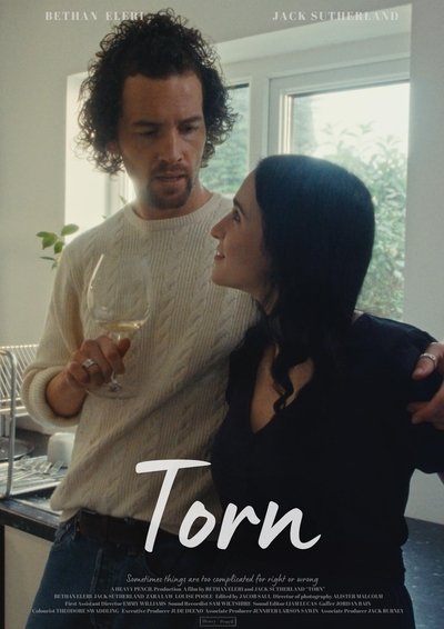 Poster do Filme Torn