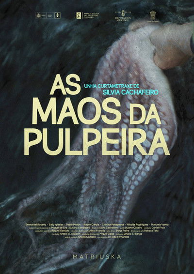 Poster do Filme As maos da pulpeira