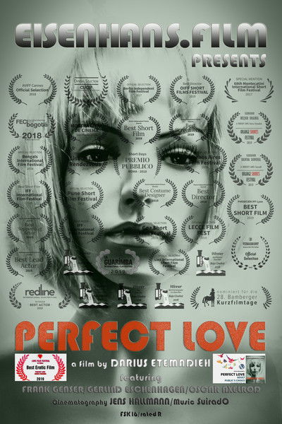 Poster do Filme Perfect Love