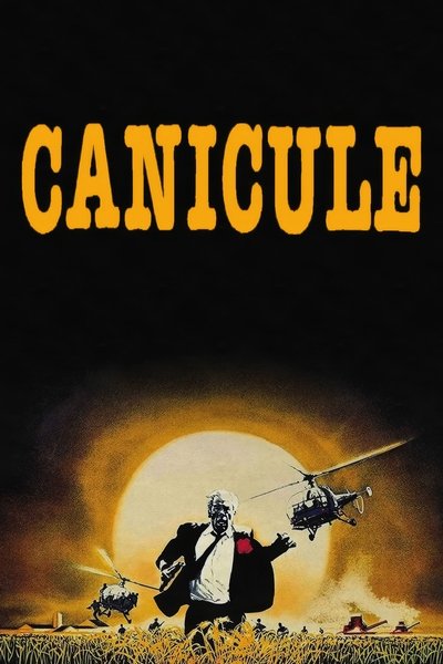 Poster do Filme A Lei do Cão