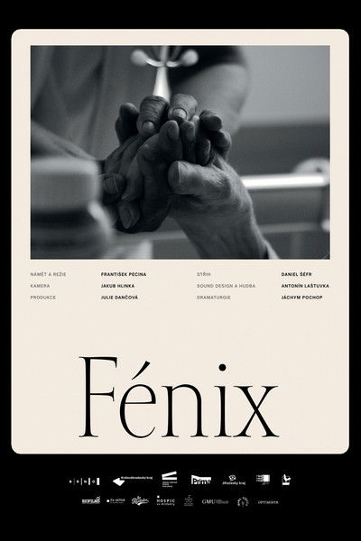 Poster do Filme Fénix