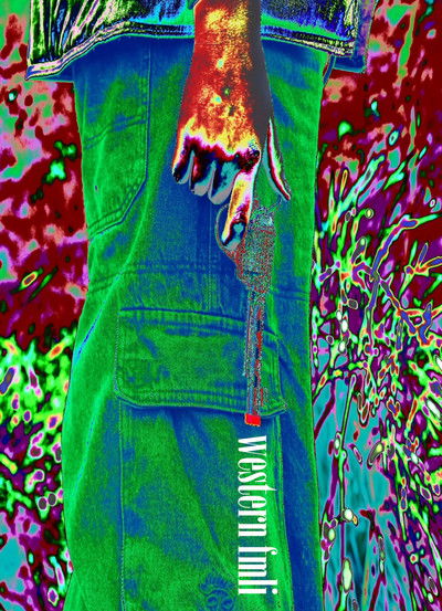 Poster do Filme western fmli