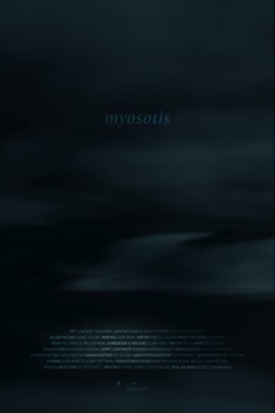 Myosotis