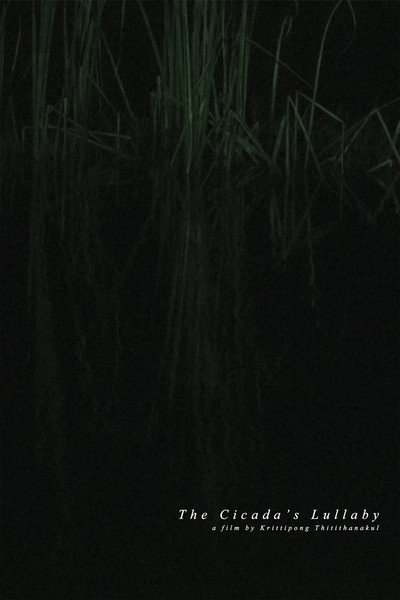The Cicada's Lullaby