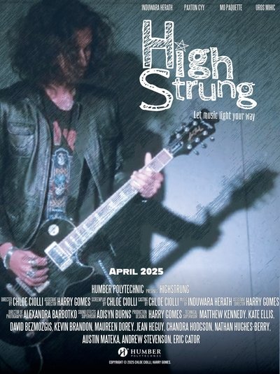 movie poster for HighStrung