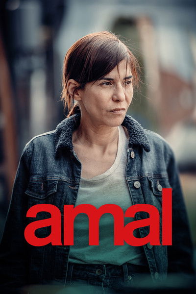 movie poster for Amal
