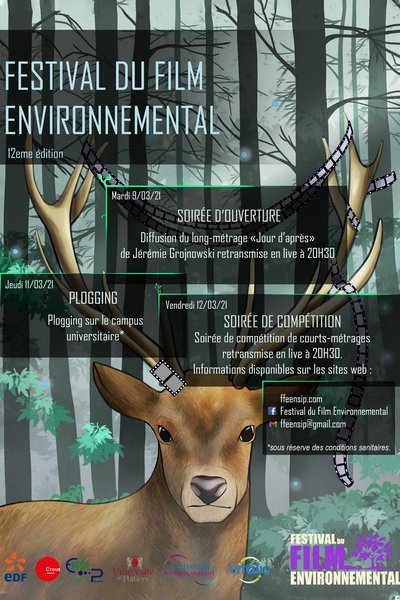 Poster for the movie 12th edition FFE competition evening