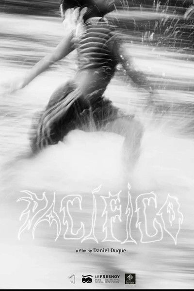 movie poster for Pacífico