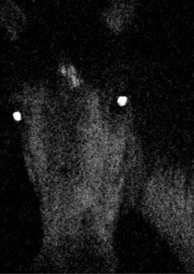 Poster do Filme Voyage au pays des vampires