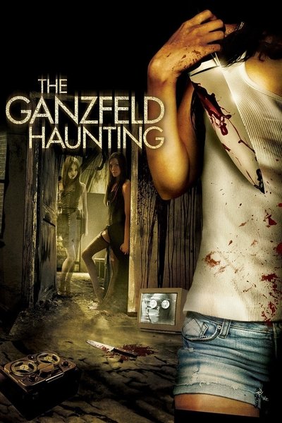 Poster for the movie The Ganzfeld Haunting
