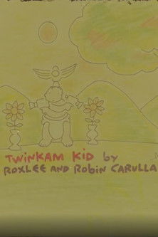 Poster do Filme Twinkam Kid