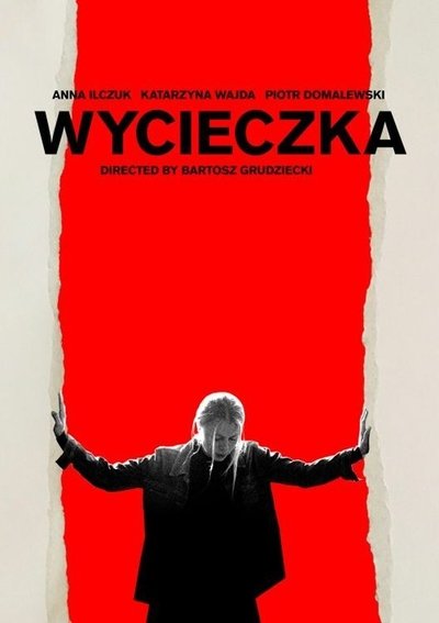 Poster for the movie Wall