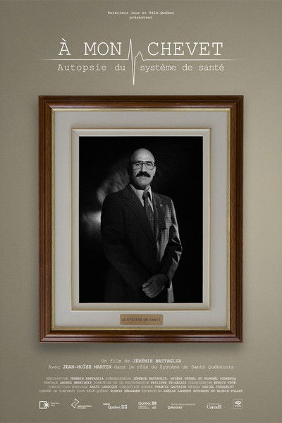 movie poster for At my bedside: an autopsy of the healthcare system