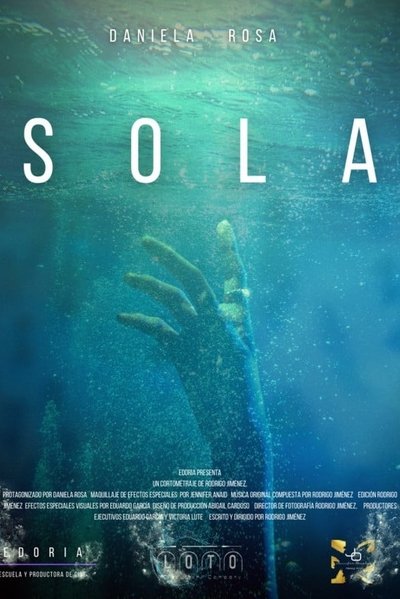 movie poster for Alone
