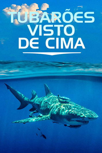 Poster do Filme Tubarões Visto de Cima