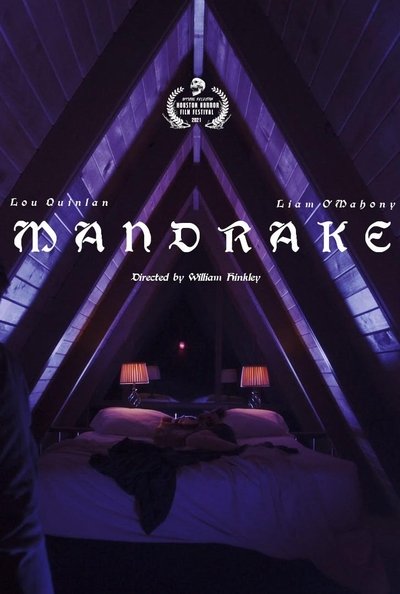 movie poster for Mandrake