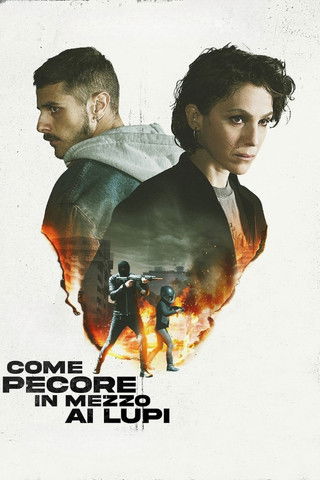 Poster do Filme Come pecore in mezzo ai lupi