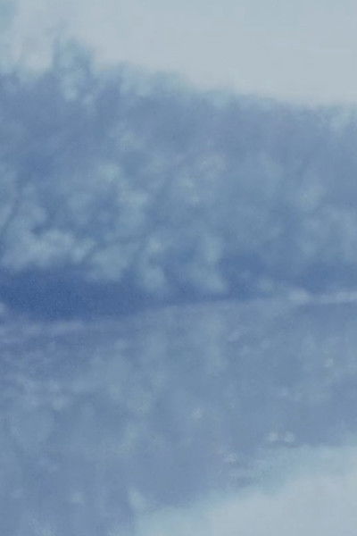 Poster do Filme Consumed 4