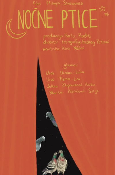 Poster do Filme Noćne ptice