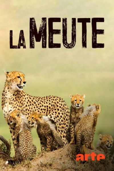 Watch - (2019) La Meute Cinq guépards dans le Serengeti Movie Online Free 123Movies