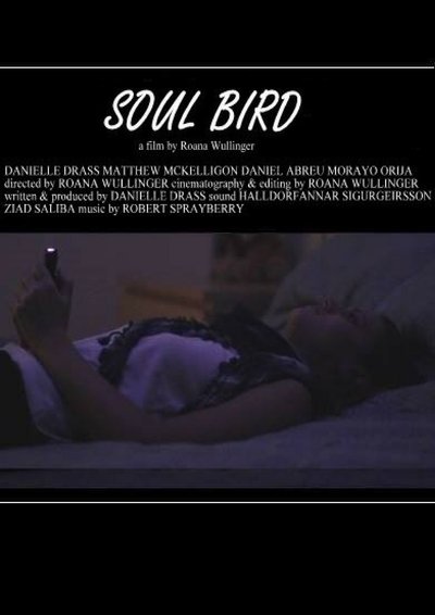 Watch - Soul Bird Movie Online Free 123Movies