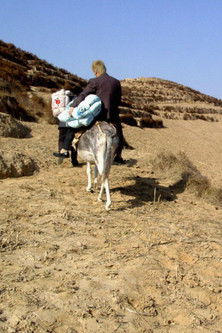 Poster do Filme The Half Hitching Post