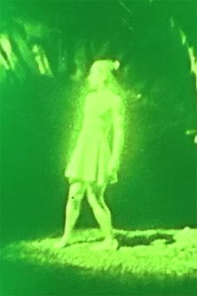 Poster do Filme That Dizzying Crest