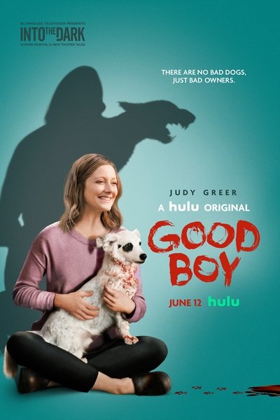 Poster for the movie Good Boy