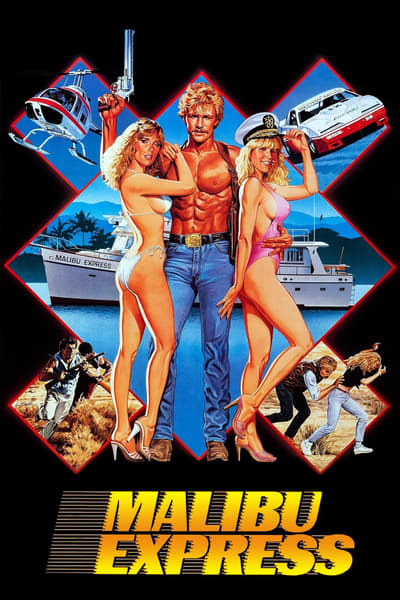 Poster for the movie Malibu Express