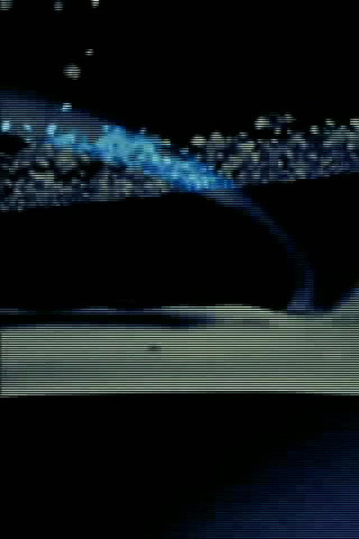 Poster do Filme Palindrome