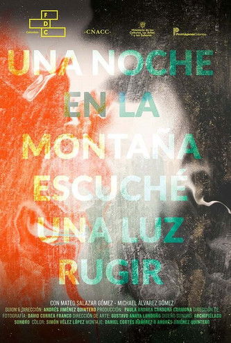 Poster do Filme Una noche en la montaña escuché una luz rugir
