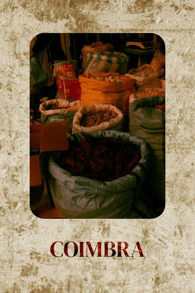 Poster do Filme Coimbra
