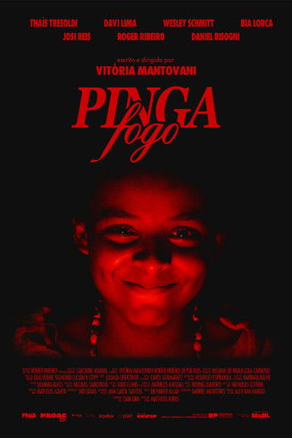 Poster do Filme Pinga Fogo
