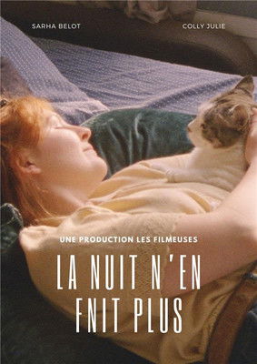 Poster do Filme La nuit n'en finit plus