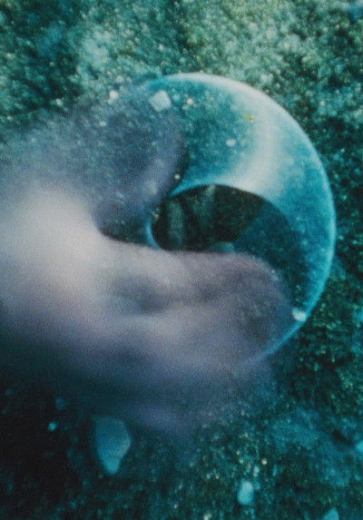 Poster do Filme コンパス