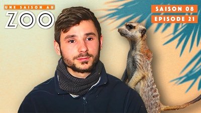 Episode 21