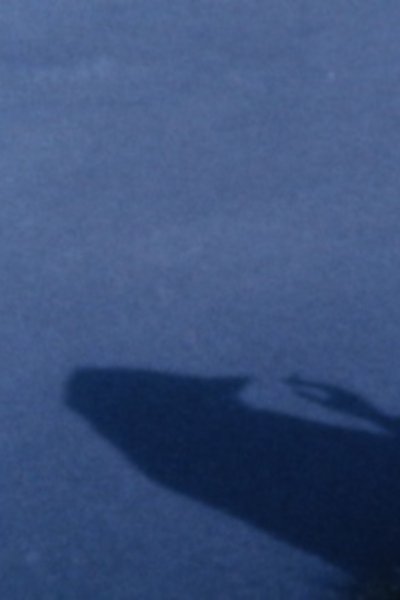 Poster do Filme 彼女たちの鳥