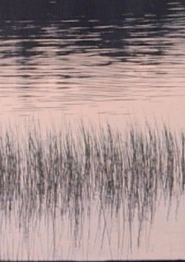 Poster do Filme Ostensibly