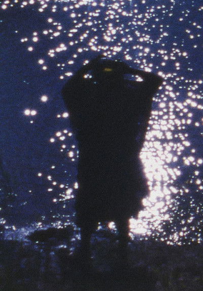 Poster do Filme Señora con flores