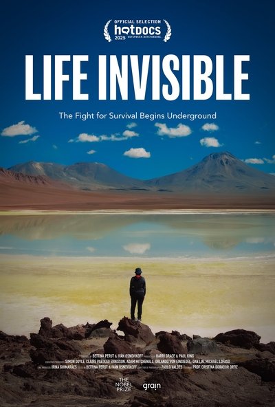 movie poster for Life Invisible
