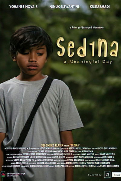 Poster do Filme Sedina
