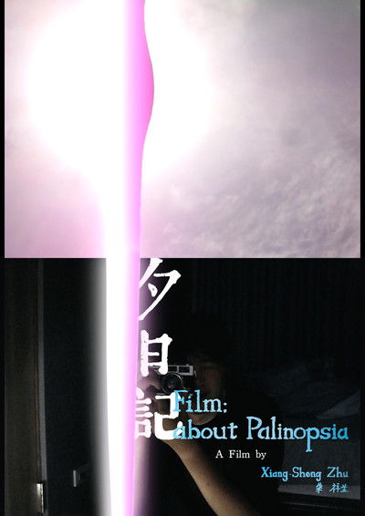 movie poster for Film; about Palinopsia