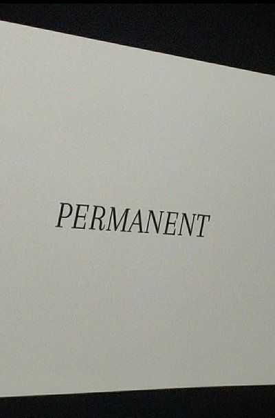 Poster do Filme Permanent